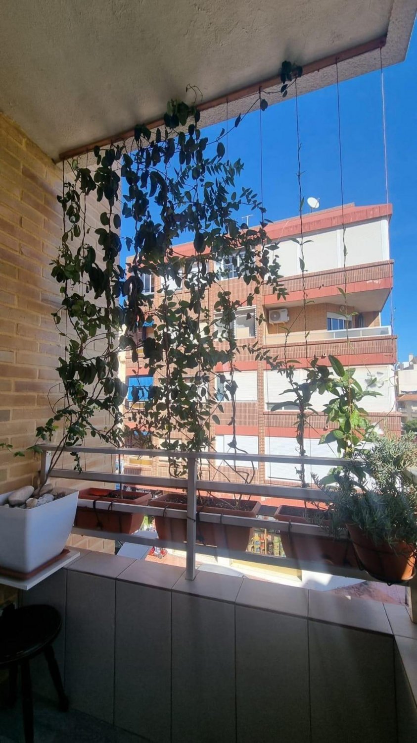 Appartamento a Guardamar del Segura, Alicante, Spagna 3 camere da letto, 94 mq. N° 112966