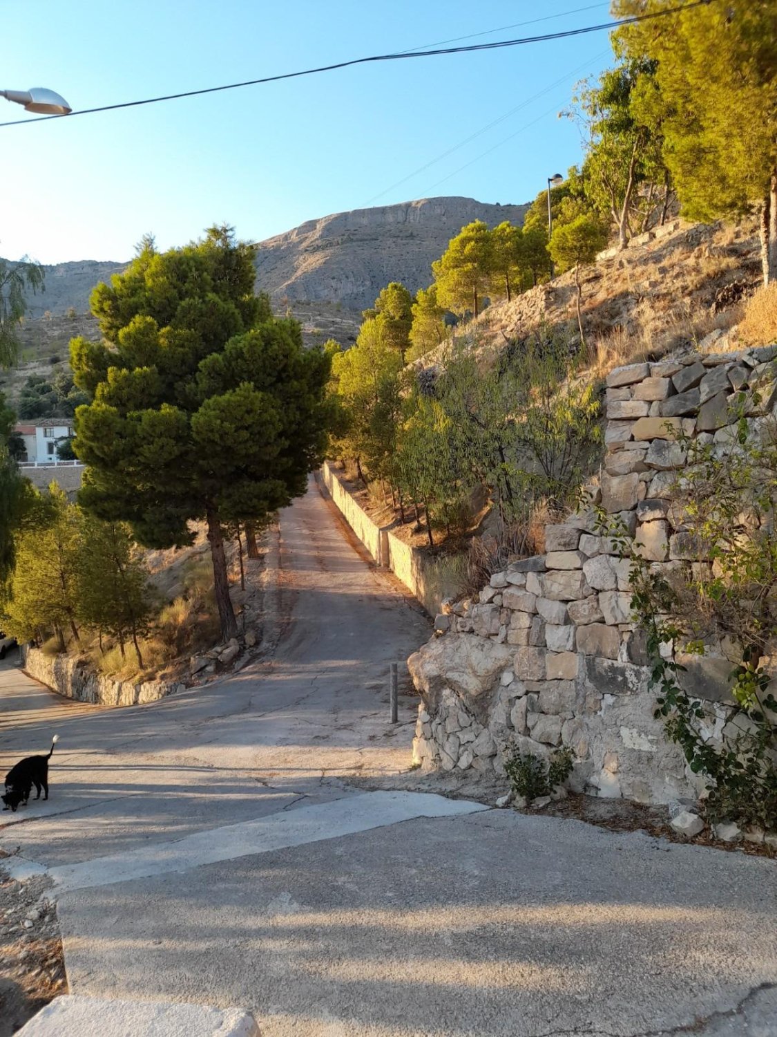 House in Sella, Alicante, Spain 117 sq.m. No. 149702