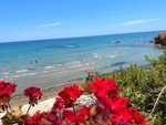 Villa i Los Altos, Alicante, Spanien 3 sovrum, 159 kvm. Nr. 179823