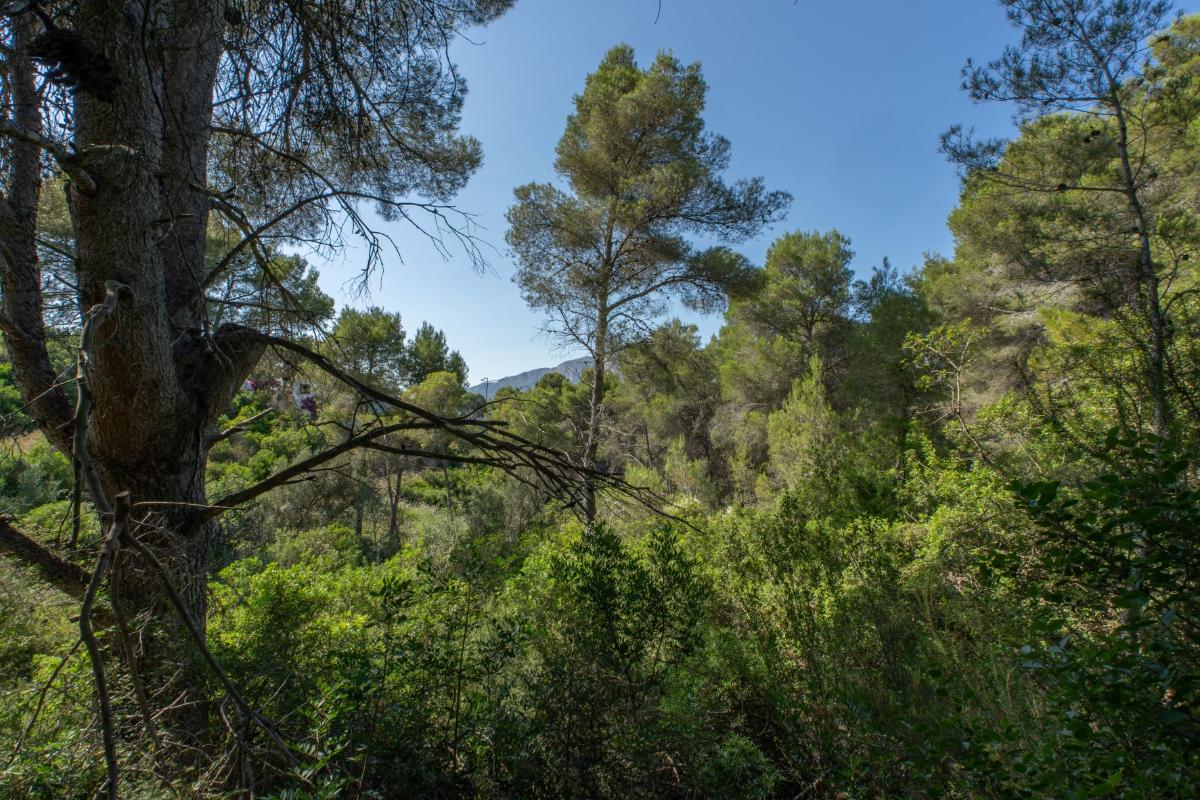 Parcela en Jávea, Alicante, España No. 183866