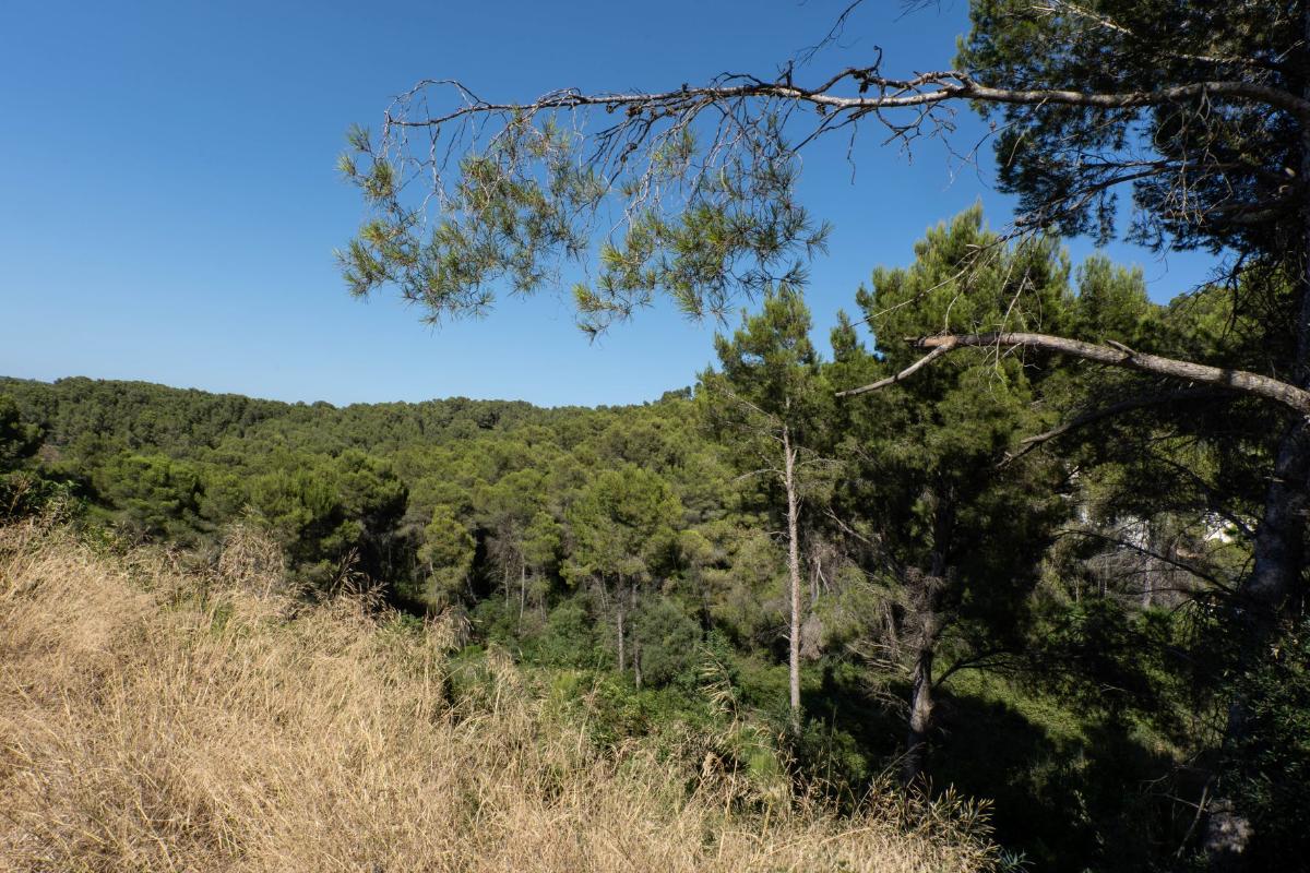 Parcela en Jávea, Alicante, España No. 183866