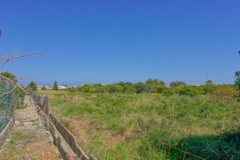 Land plot in Denia, Alicante, Spain No. 183869