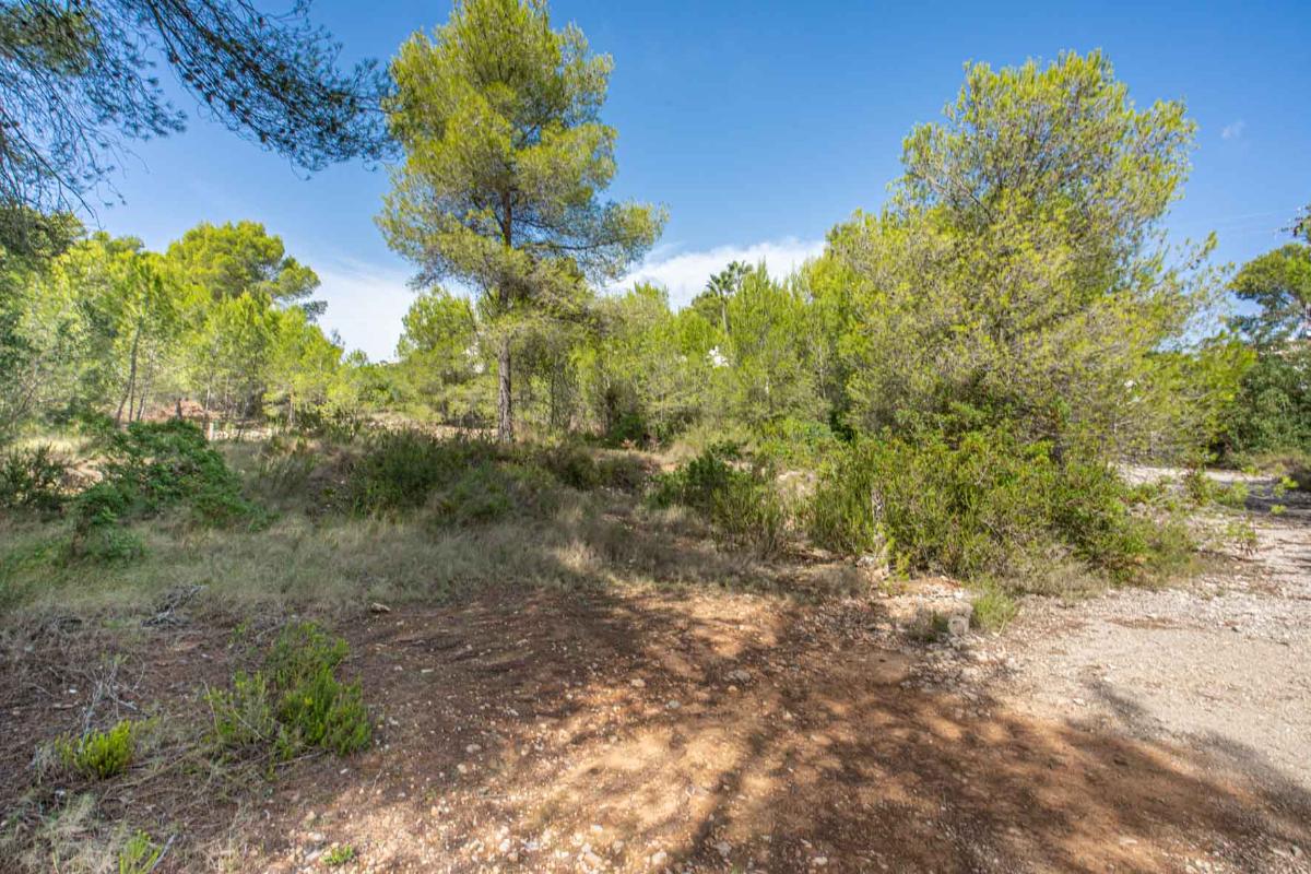 Parcela en Jávea, Alicante, España No. 183867