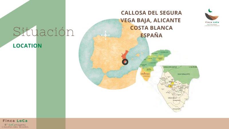 Finca Alicante, Spānijā 1 istaba, 100 m2 Nr. 80291