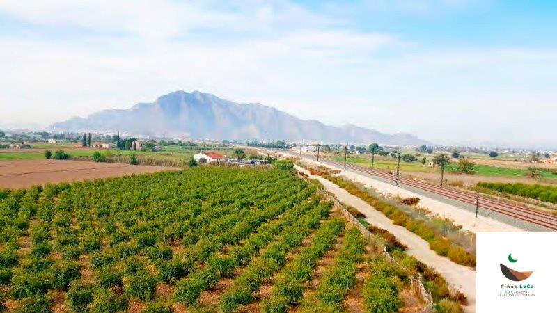 Finca Alicante, Spānijā 1 istaba, 100 m2 Nr. 80291