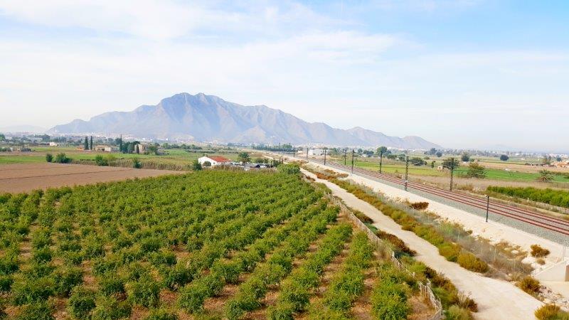 Finca Alicante, Spānijā 1 istaba, 100 m2 Nr. 80291