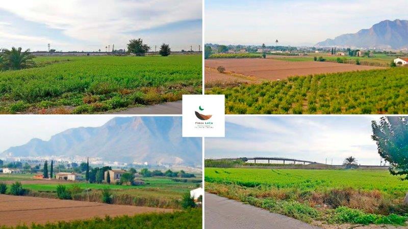 Finca Alicante, Spānijā 1 istaba, 100 m2 Nr. 80291
