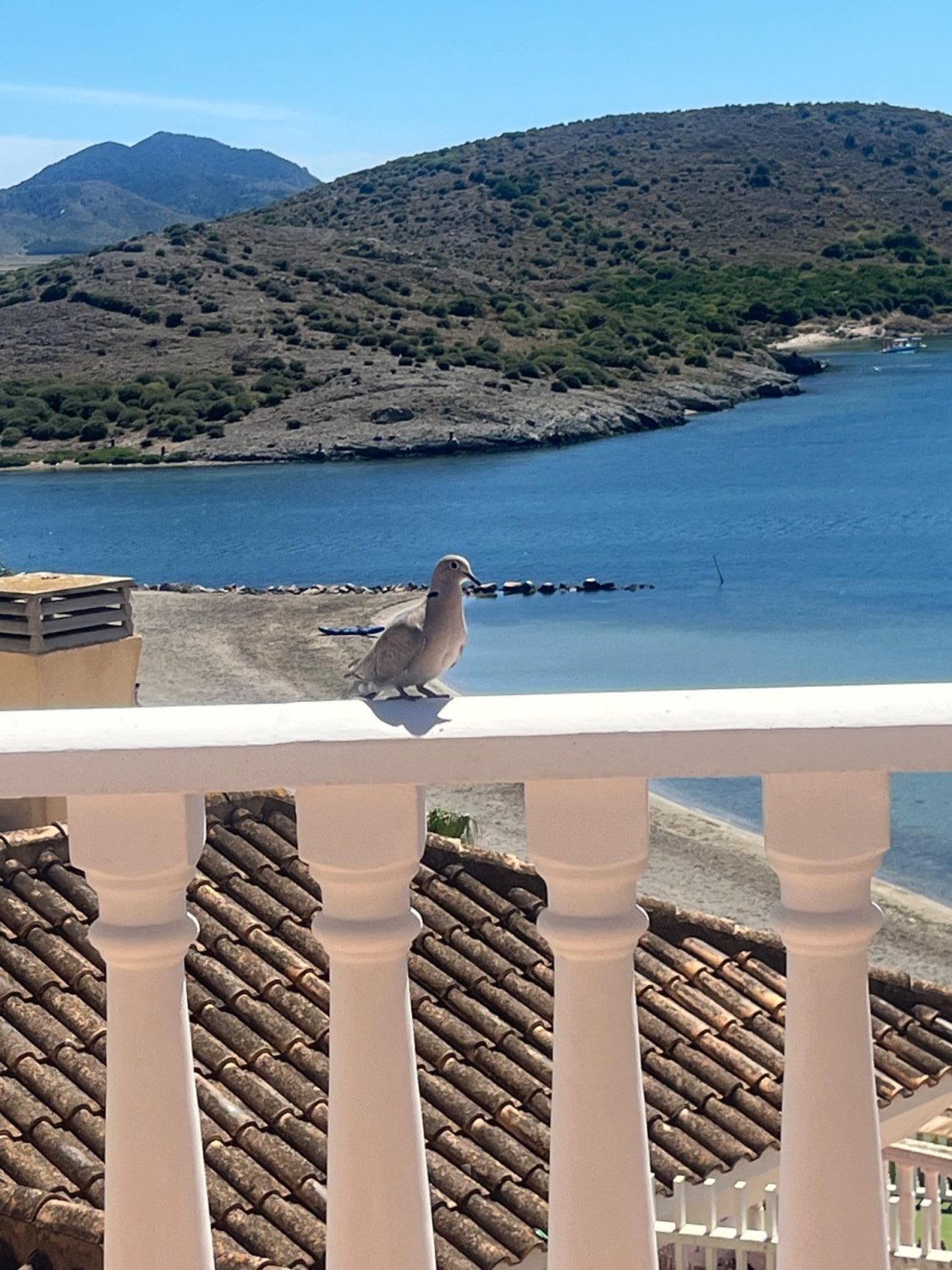 Villa in La Manga del Mar Menor, Murcia, Spain 5 bedrooms, 136 sq.m. No. 196990