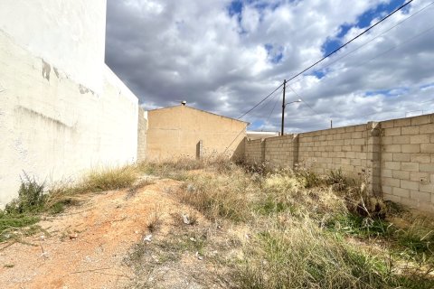 Tontti Mallorca, Espanja 230 m2 No. 138841