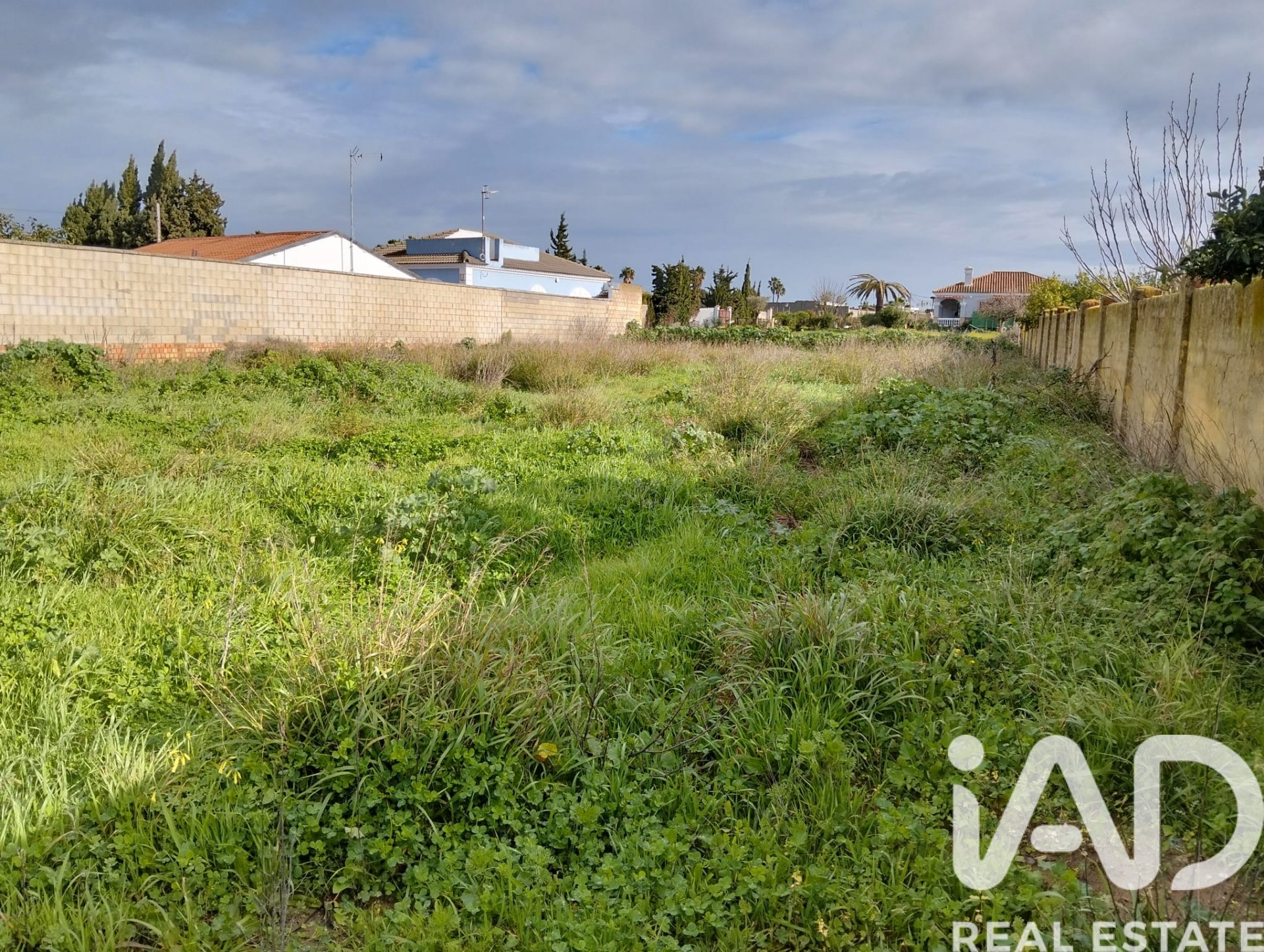 Tontti Sanlucar de Barrameda, Cadiz, Espanja 1049 m2 No. 185226