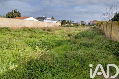 Land plot in Sanlucar de Barrameda, Cadiz, Spain 1049 sq.m. No. 185226