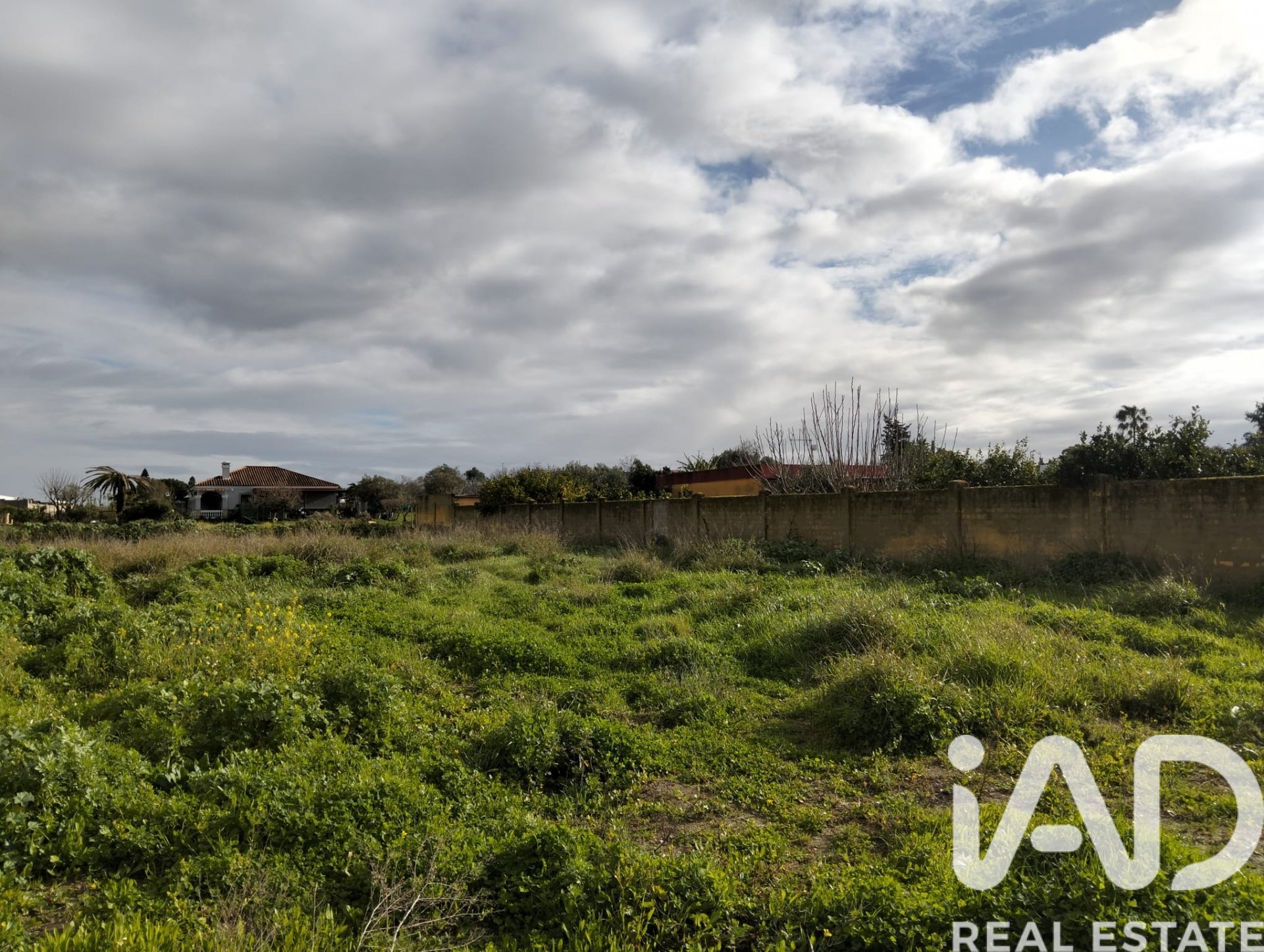 Tontti Sanlucar de Barrameda, Cadiz, Espanja 1049 m2 No. 185226