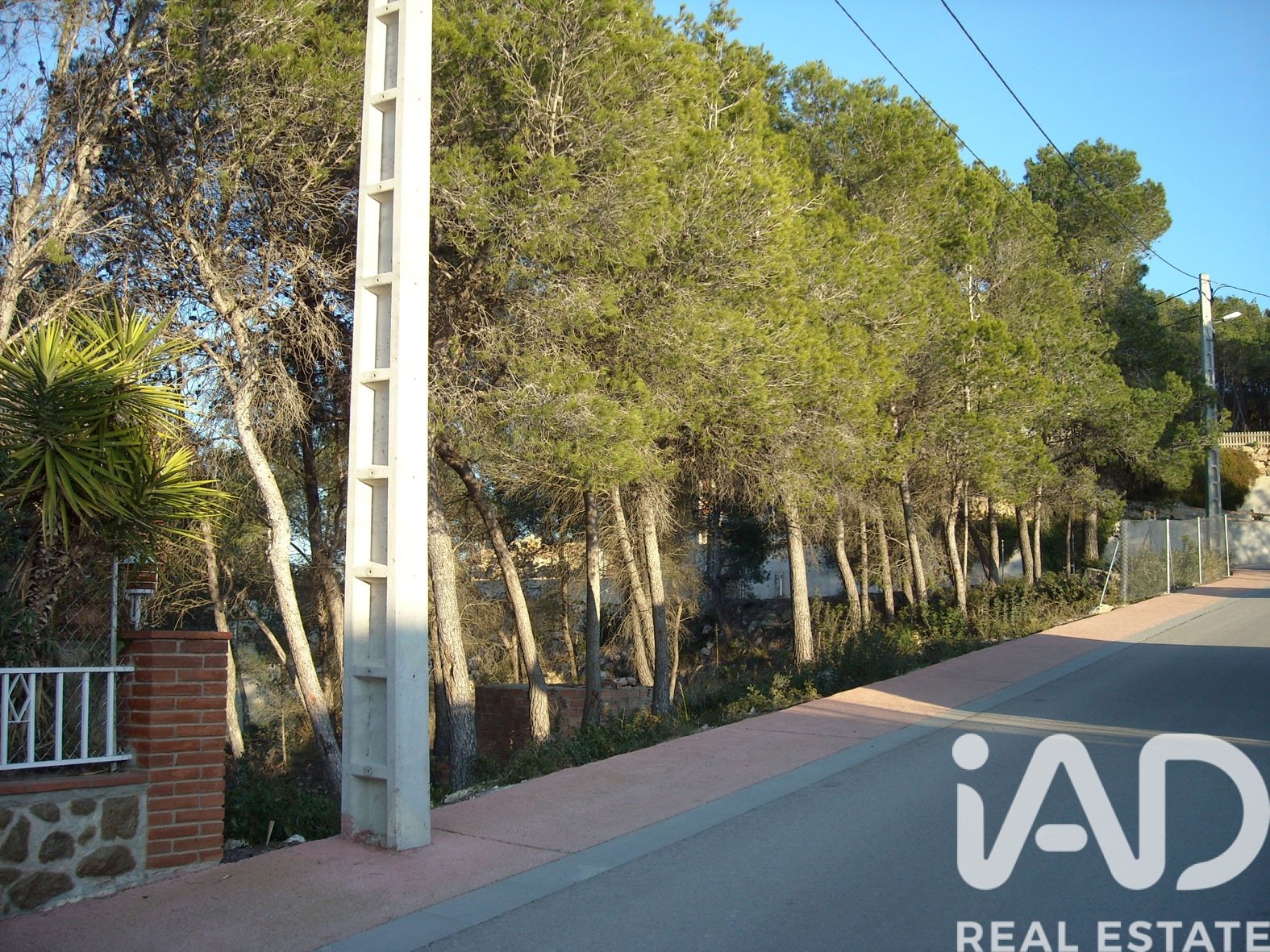 Tontti Olivella, Barcelona, Espanja 1400 m2 No. 185320
