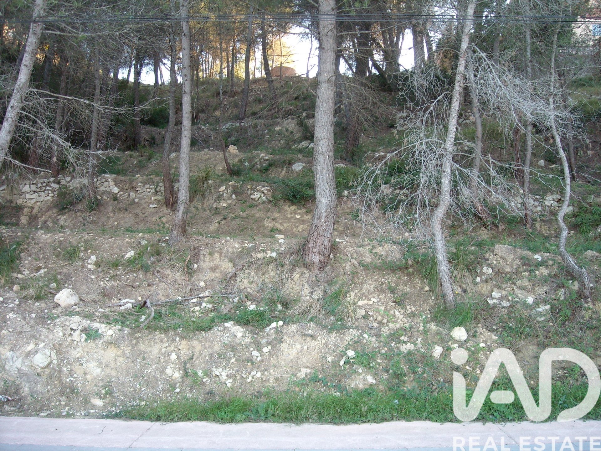 Tontti Olivella, Barcelona, Espanja 1400 m2 No. 185320