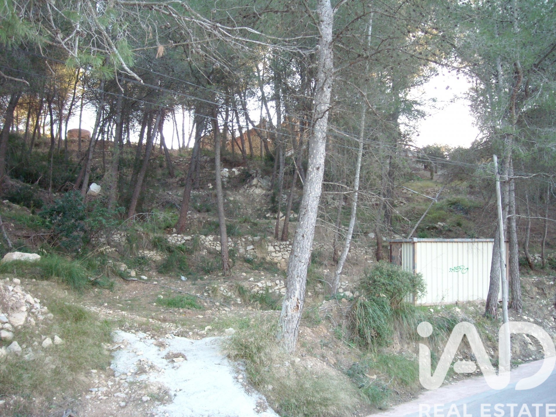 Tontti Olivella, Barcelona, Espanja 1400 m2 No. 185320