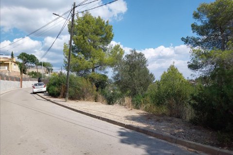 Land plot in Viladecavalls, Barcelona, Spain No. 191154