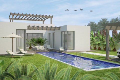 Villa in Ciudad Quesada, Alicante, Spanien 3 Schlafzimmer, 156 m2 Nr. 135067