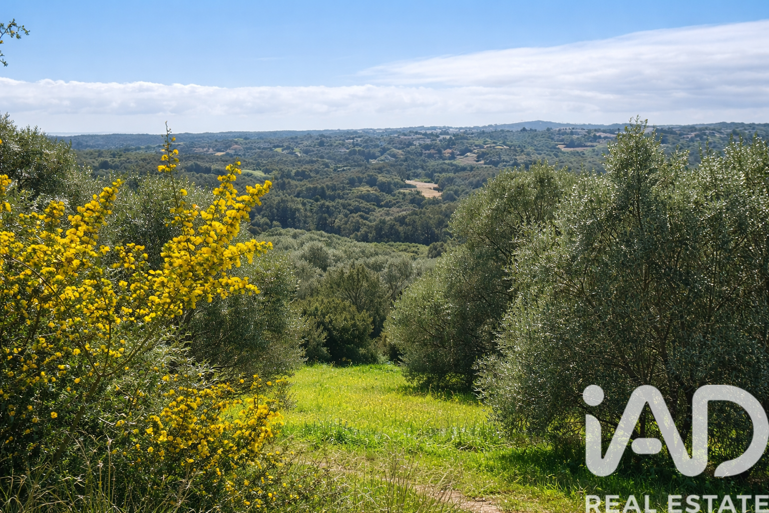 Land plot in Sotogrande, Cadiz, Spain 3376 sq.m. No. 172734