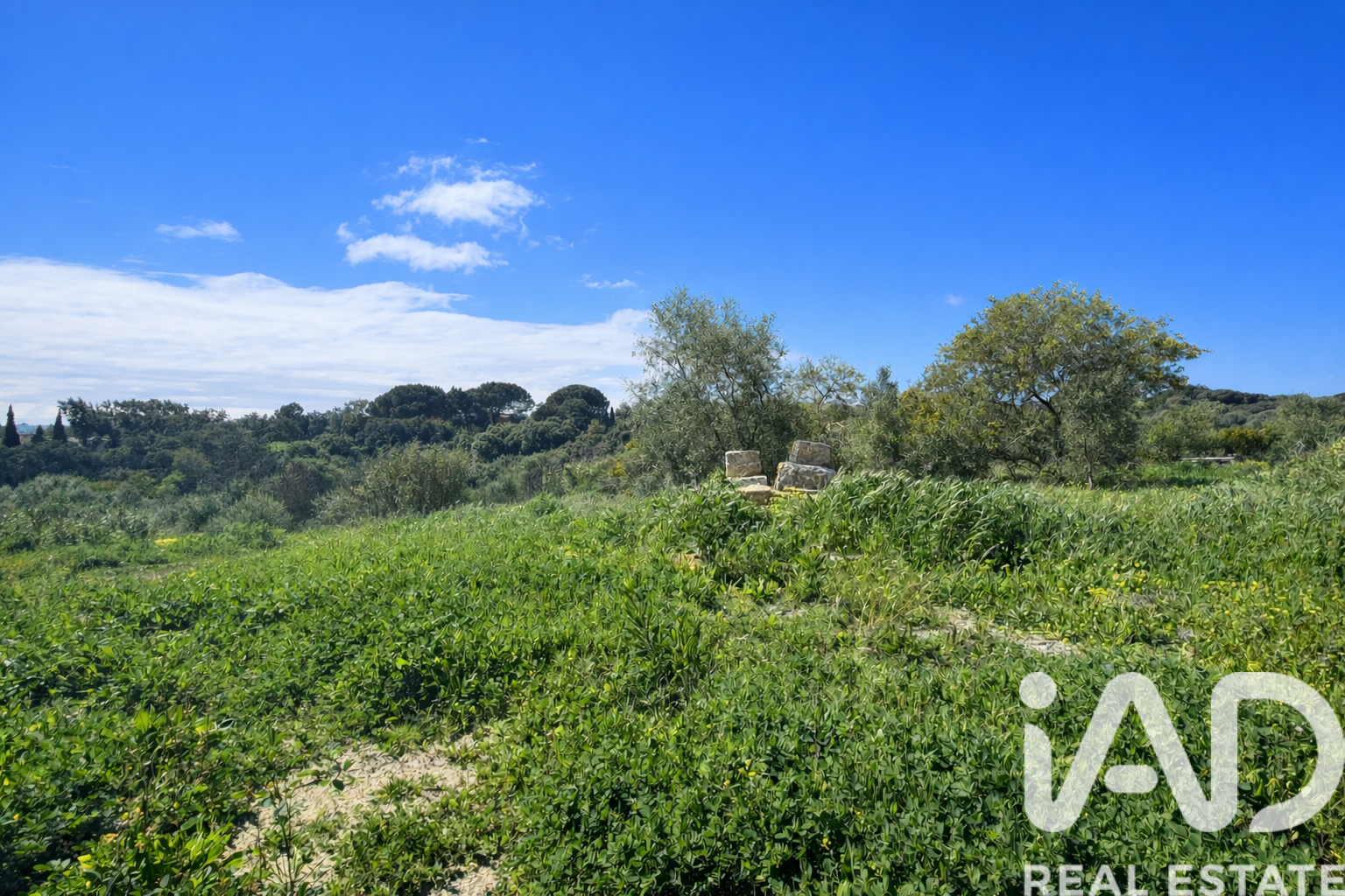 Land plot in Sotogrande, Cadiz, Spain 3376 sq.m. No. 172734