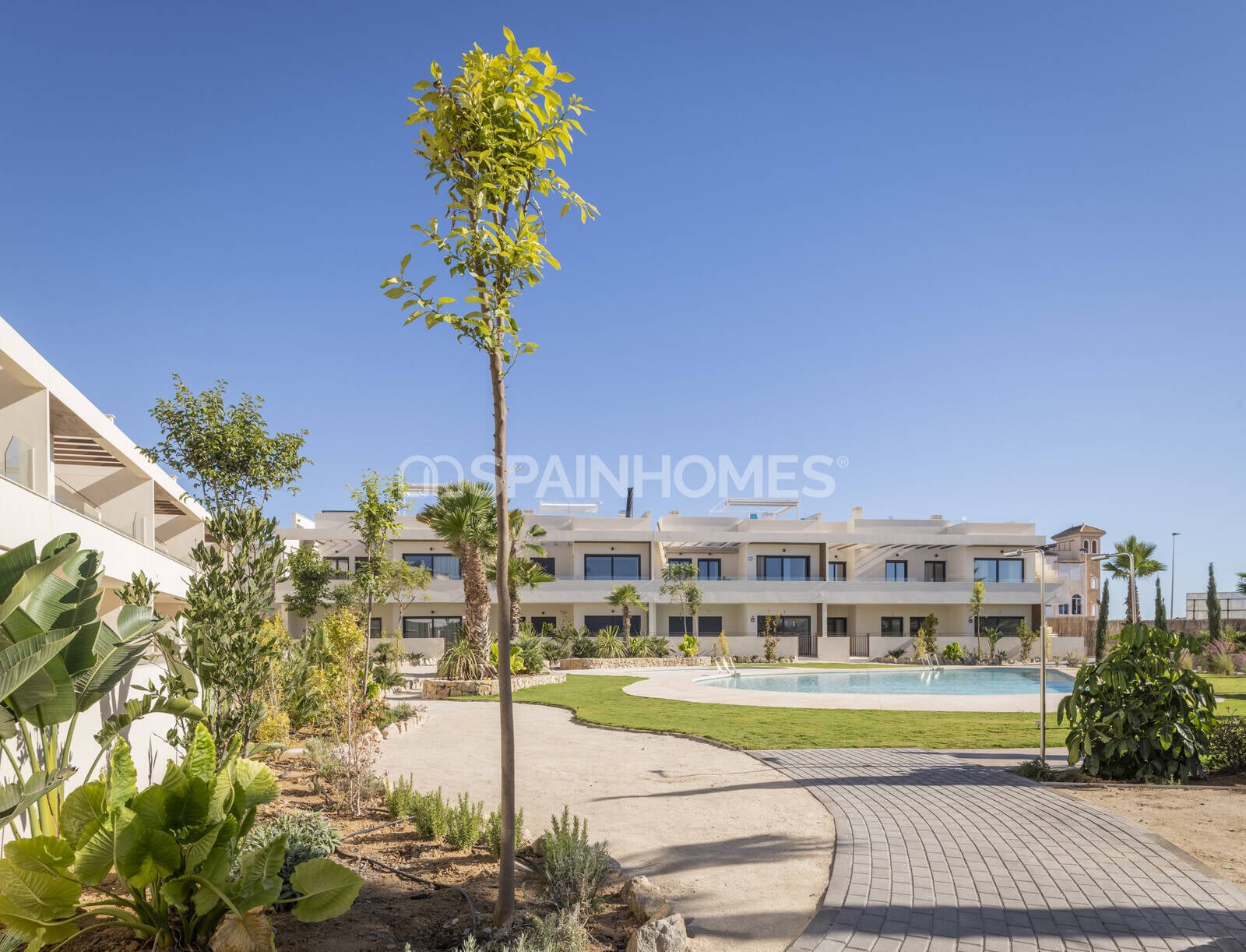 Penthouse w Torrevieja, Alicante, Hiszpania 2 sypialnie, 95 mkw. nr 48875