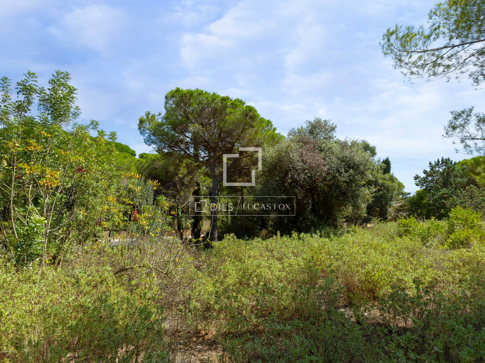 Land plot in Sant Andreu de Llavaneres, Barcelona, Spain No. 192732