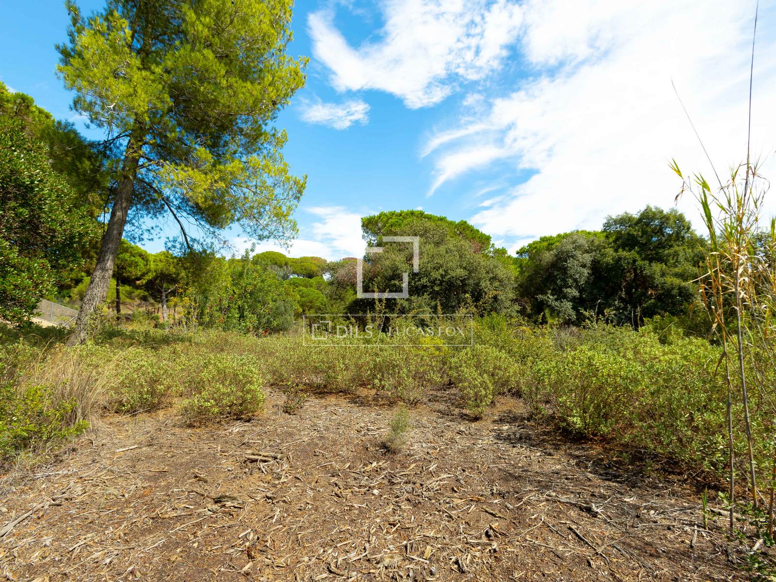 Land plot in Sant Andreu de Llavaneres, Barcelona, Spain No. 192732