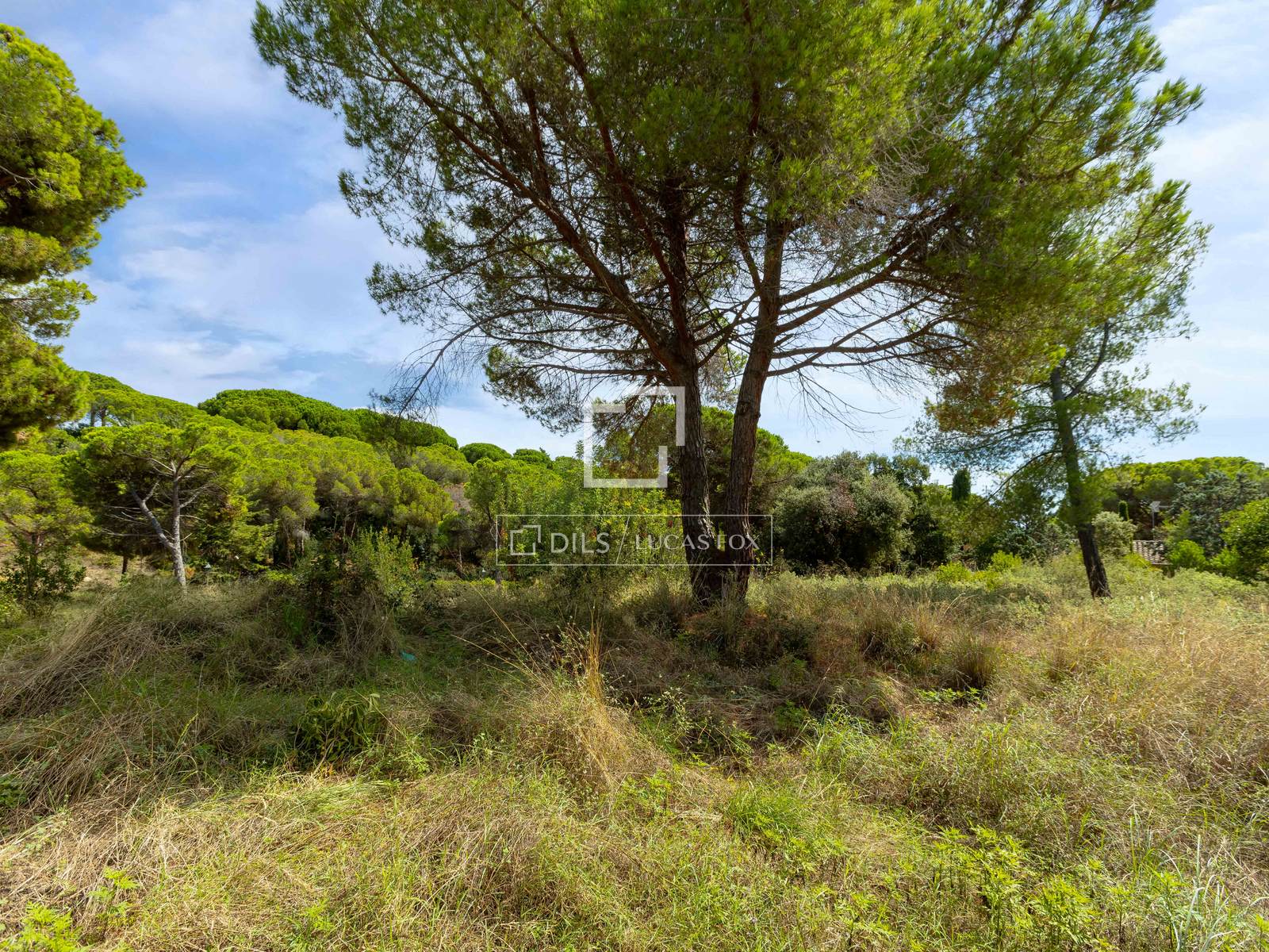 Land plot in Sant Andreu de Llavaneres, Barcelona, Spain No. 192732
