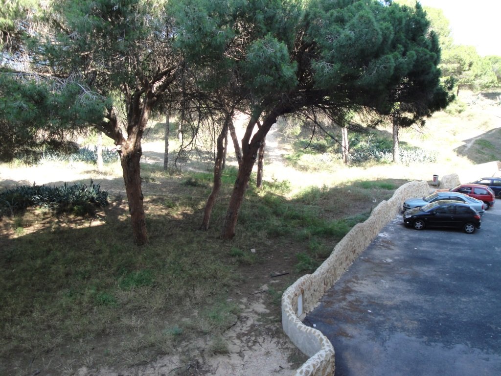 Huoneisto Guardamar del Segura, Alicante, Espanja 3 makuuhuonetta, 90 m2 No. 183787