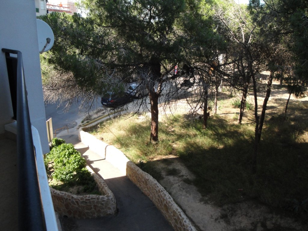 Huoneisto Guardamar del Segura, Alicante, Espanja 3 makuuhuonetta, 90 m2 No. 183787