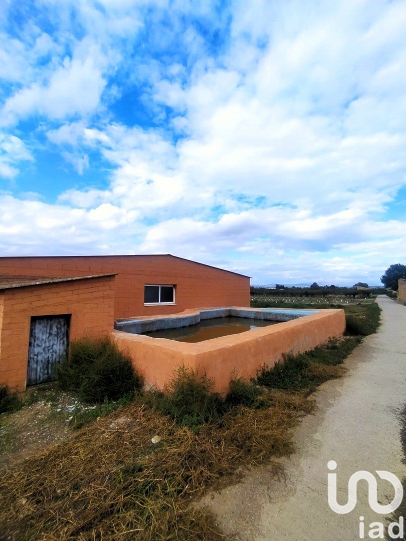 Tomt i Ginestar, Tarragona, Spanien 12661 kvm. Nr. 186095