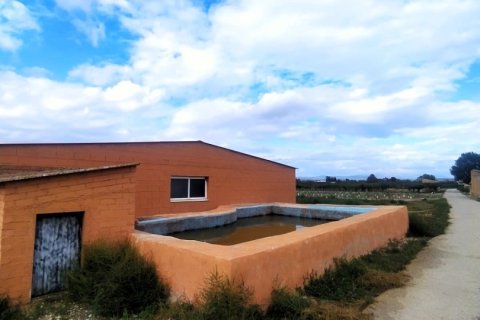 Land in Ginestar, Tarragona, Spanien 12661 m2 Nr. 186095