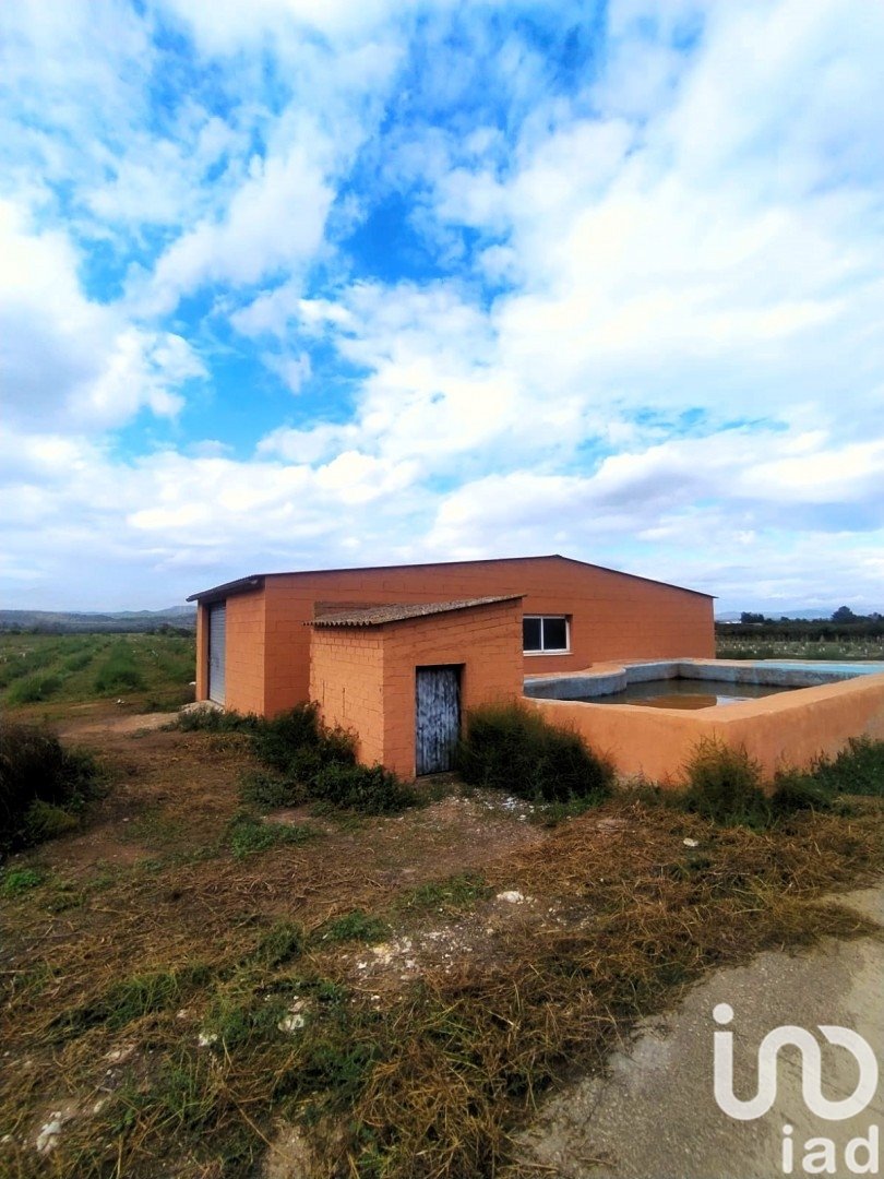 Tomt i Ginestar, Tarragona, Spanien 12661 kvm. Nr. 186095