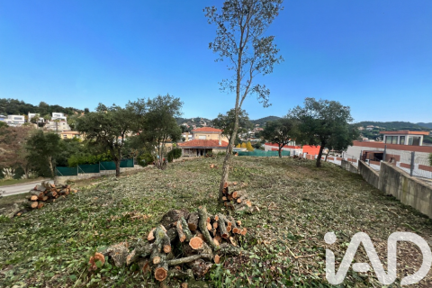 Land plot à Lloret de Mar, Girona, Espagne 1169 m2 No. 185340