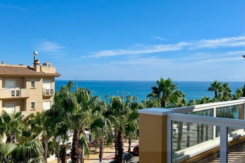 Apartament w Cabo Roig, Alicante, Hiszpania 3 sypialnie, 104 mkw. nr 196981