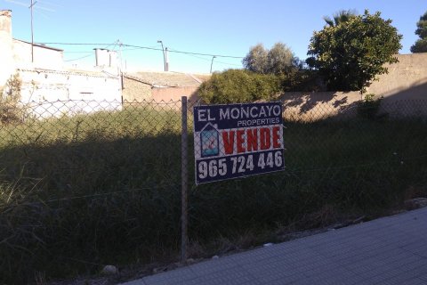 Land plot à Formentera del Segura, Alicante, Espagne No. 81248
