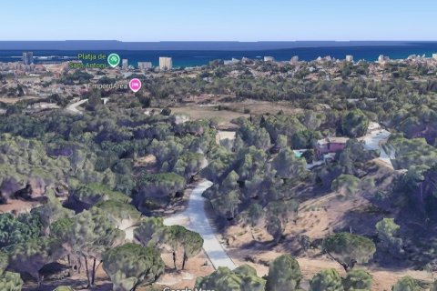 Zemes gabals Palamos, Girona, Spānijā Nr. 183146