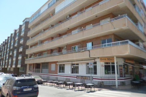 Apartment in Villamartin, Alicante, Spain 4 bedrooms,  No. 189919