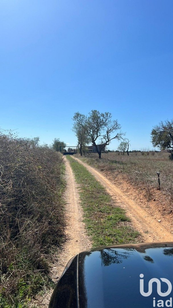 Działka w Campos, Mallorca, Hiszpania 39458 mkw. nr 154309