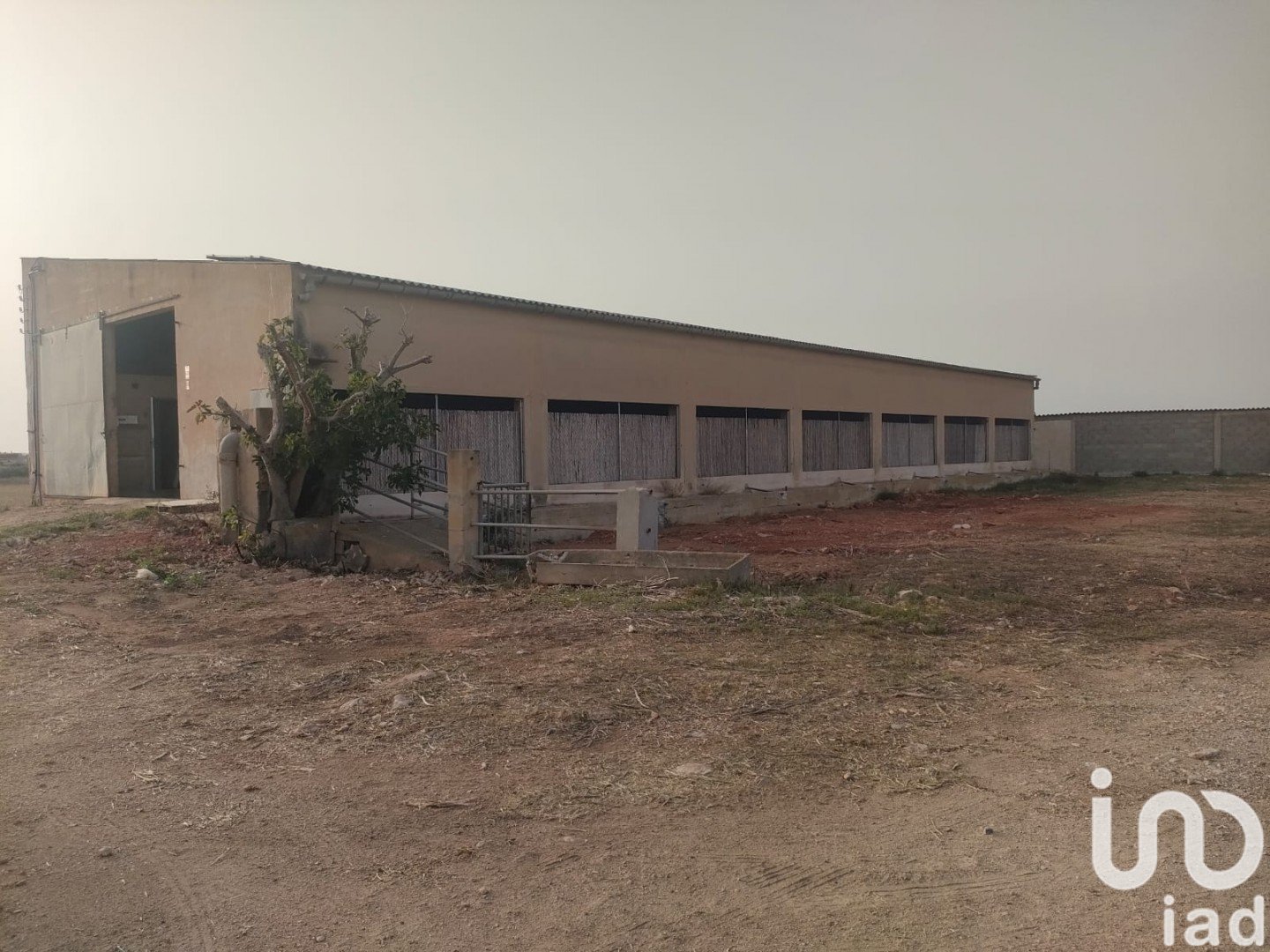 Działka w Campos, Mallorca, Hiszpania 39458 mkw. nr 154309