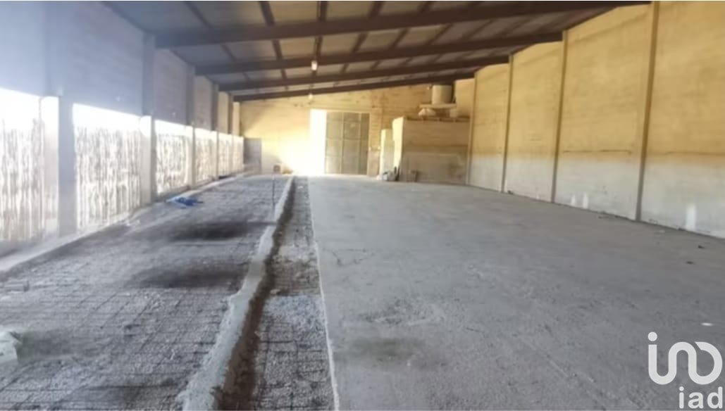 Działka w Campos, Mallorca, Hiszpania 39458 mkw. nr 154309