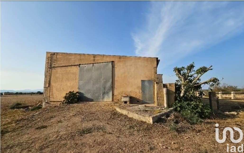 Działka w Campos, Mallorca, Hiszpania 39458 mkw. nr 154309