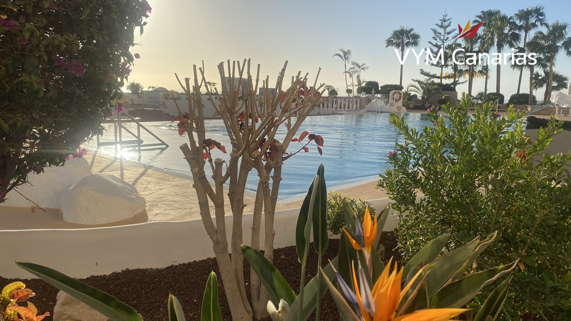 Villa a Torviscas, Tenerife, Spagna 2 camere da letto, 86 mq. N° 182550