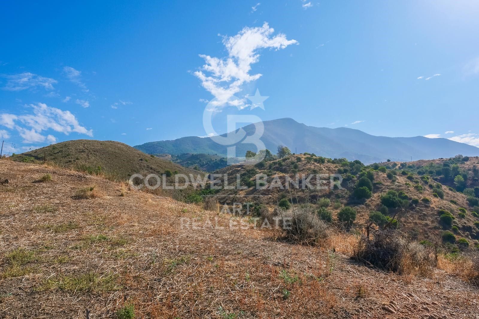 Land plot in Mijas, Malaga, Spain 43889 sq.m. No. 157441