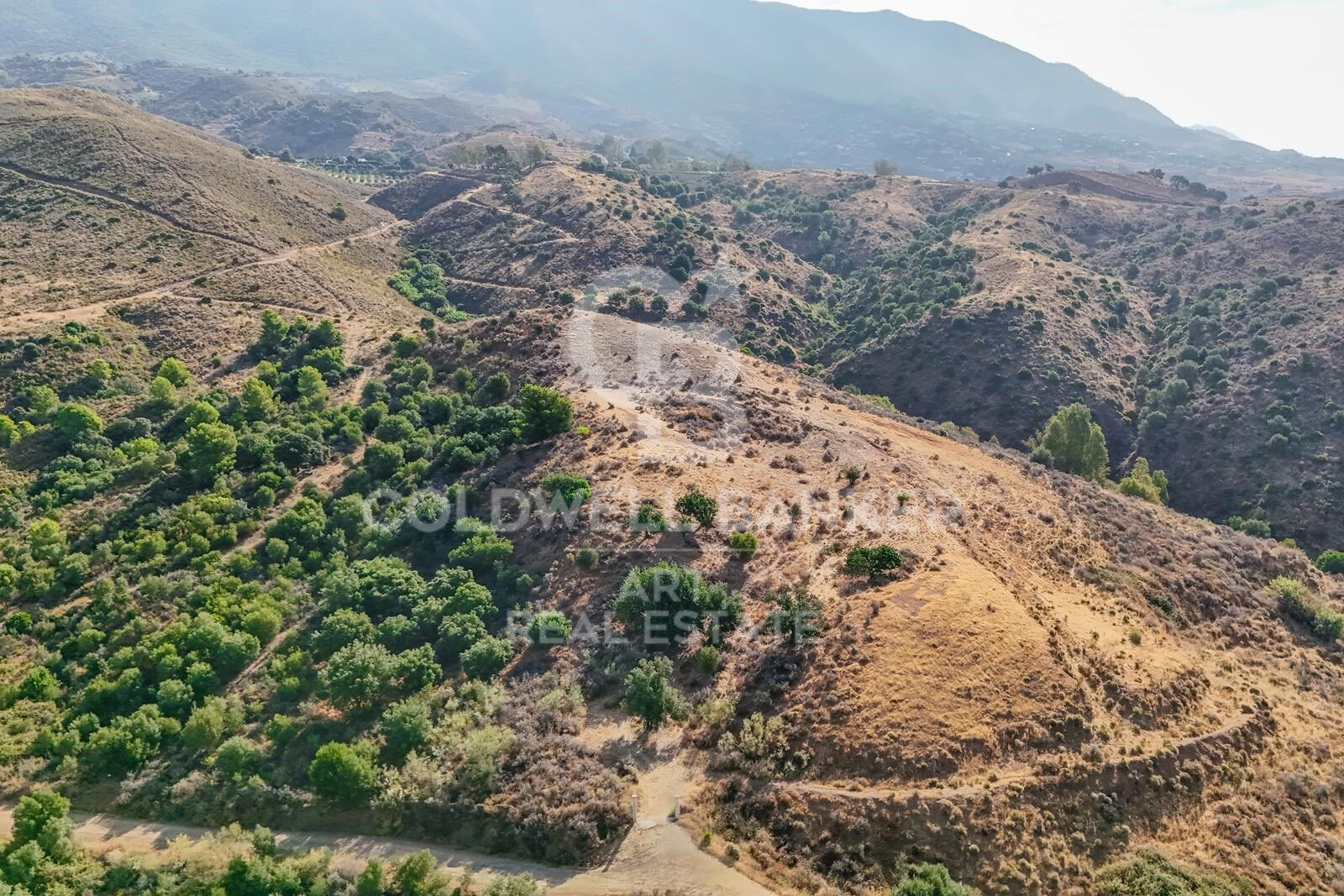Land plot in Mijas, Malaga, Spain 43889 sq.m. No. 157441