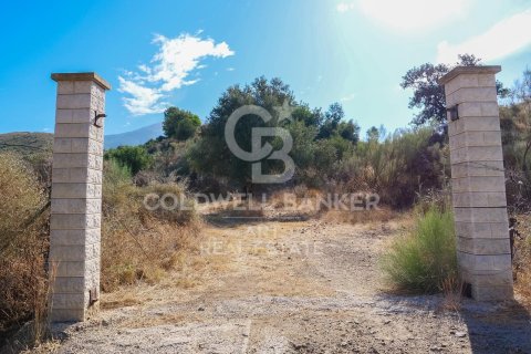 Działka w Mijas, Malaga, Hiszpania 43889 mkw. nr 157441