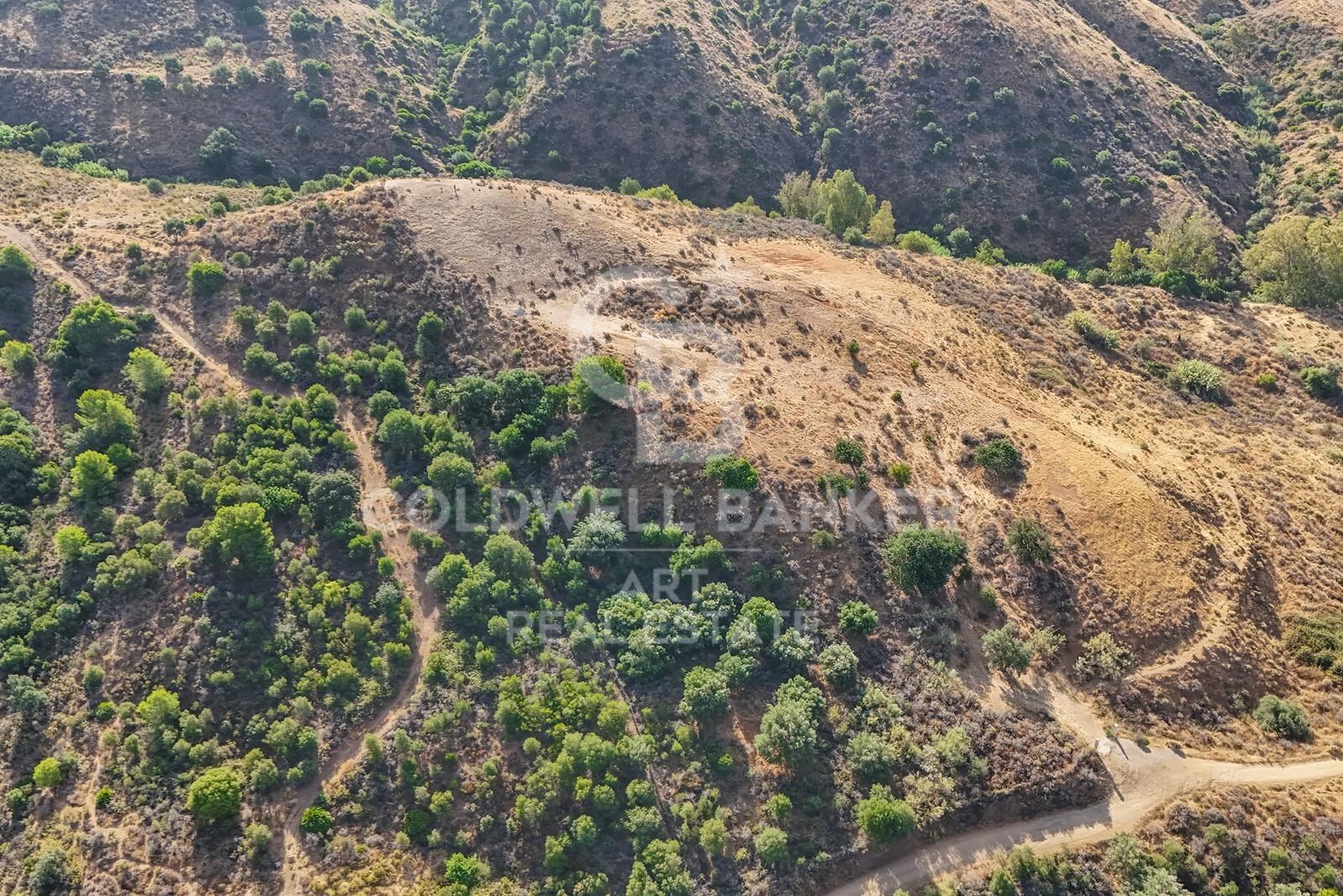 Land plot in Mijas, Malaga, Spain 43889 sq.m. No. 157441