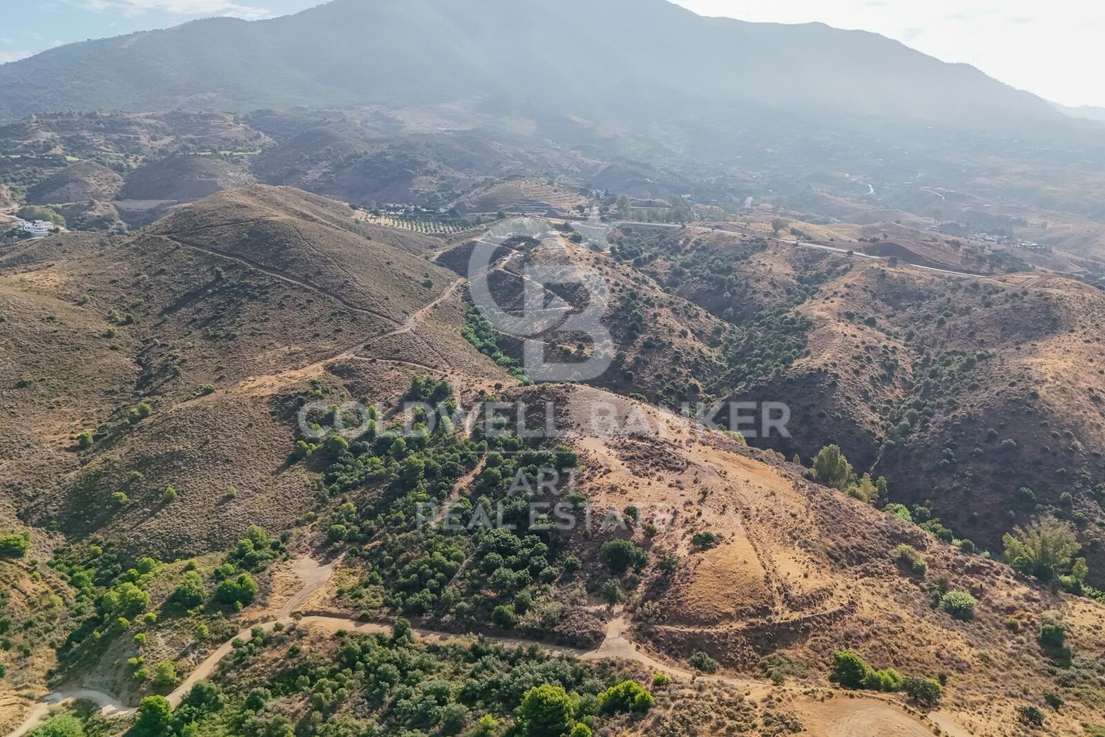 Land plot in Mijas, Malaga, Spain 43889 sq.m. No. 157441