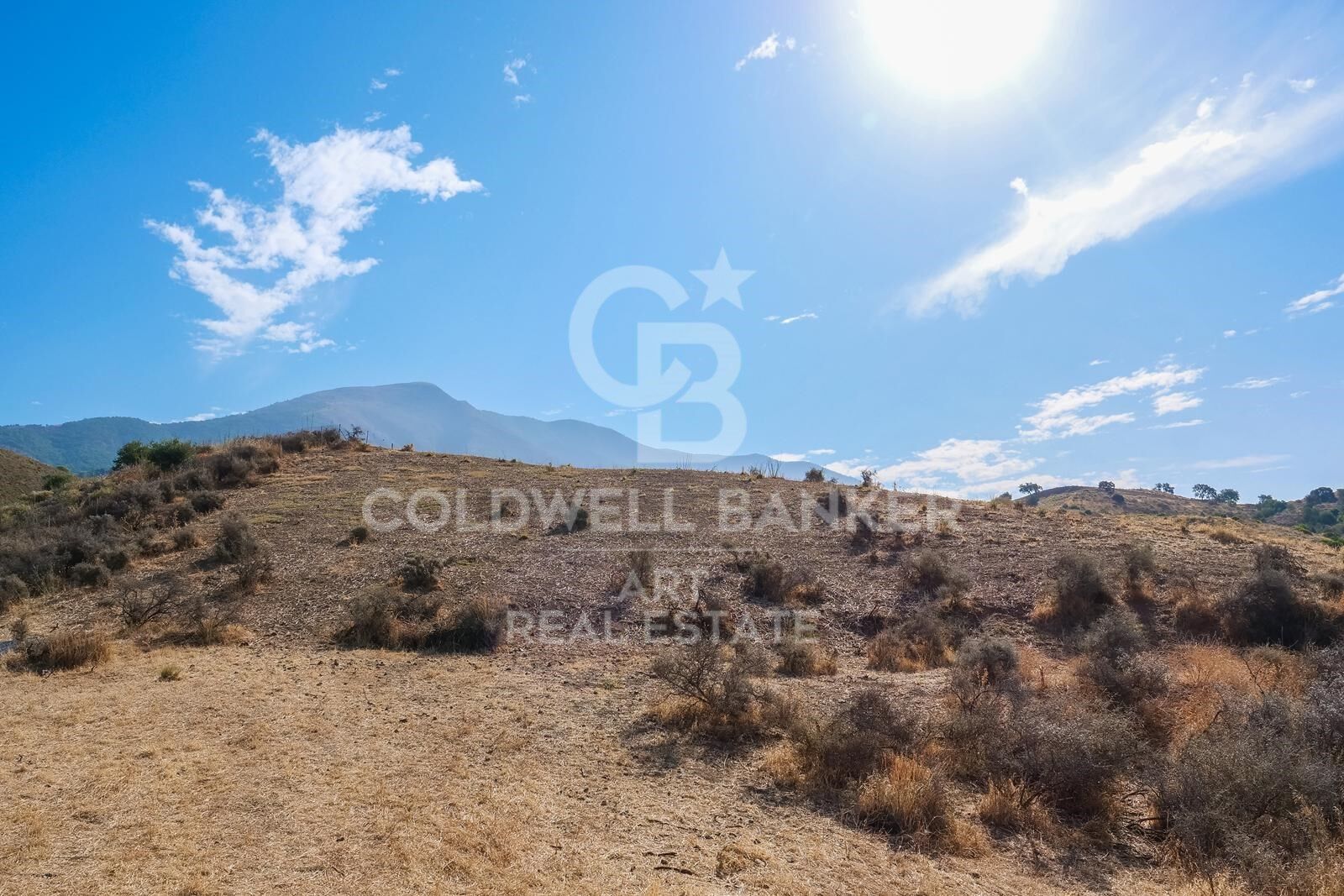 Land plot in Mijas, Malaga, Spain 43889 sq.m. No. 157441