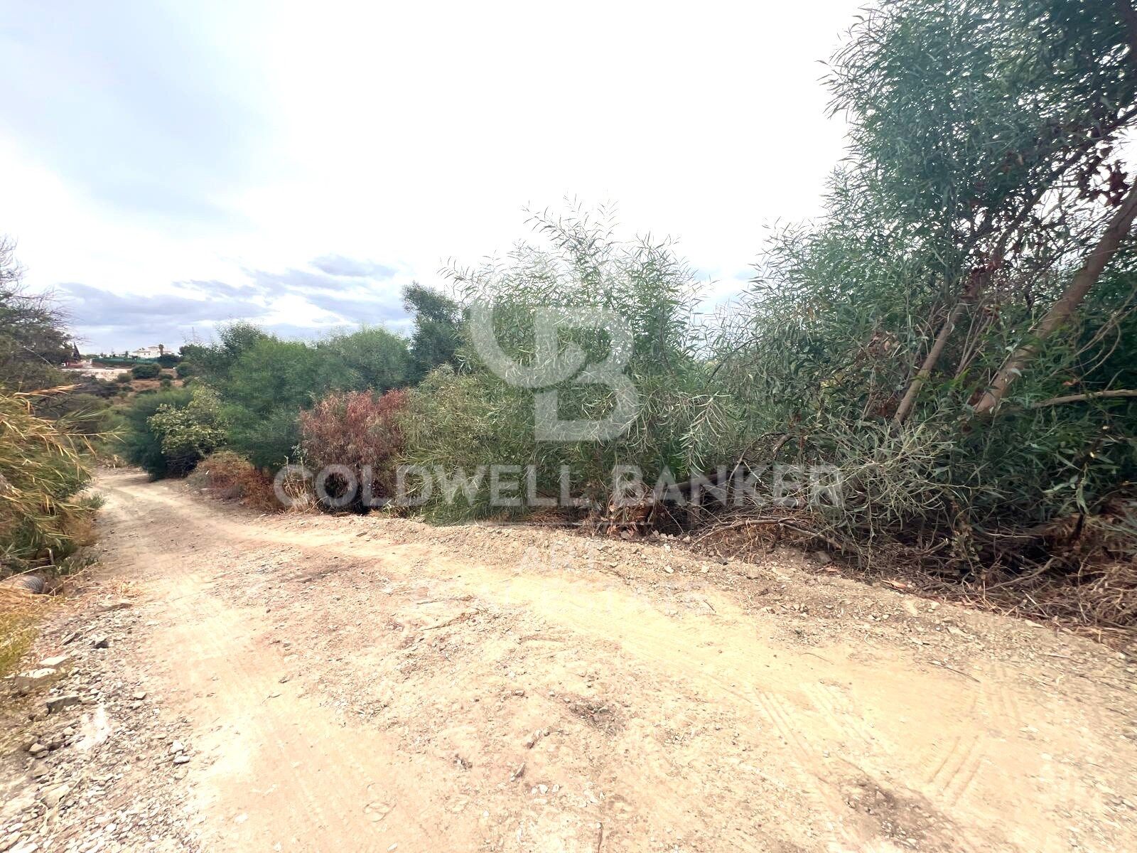 Land plot in Benahavis, Malaga, Spain 504 sq.m. No. 157436