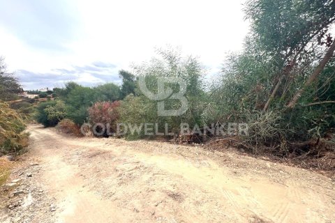 Land plot in Benahavis, Malaga, Spain 504 sq.m. No. 157436